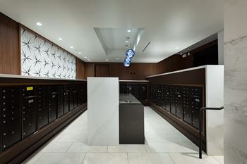 Luxerone automated package system